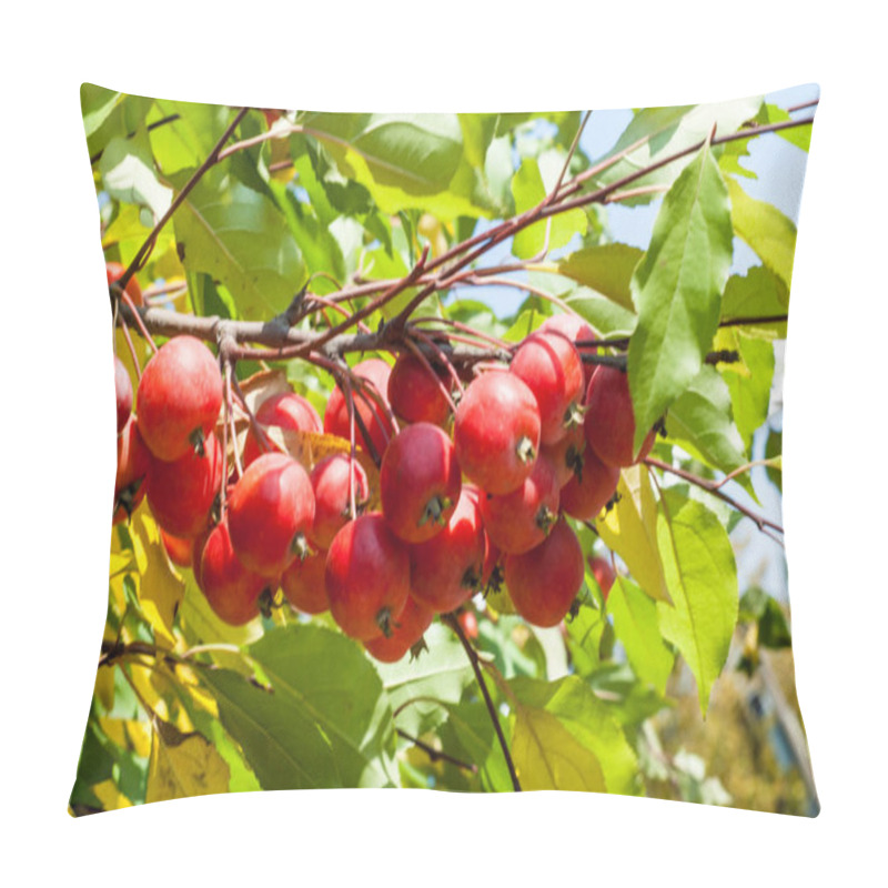 Personality  Crabapple And Wild Apple. Pillow Covers