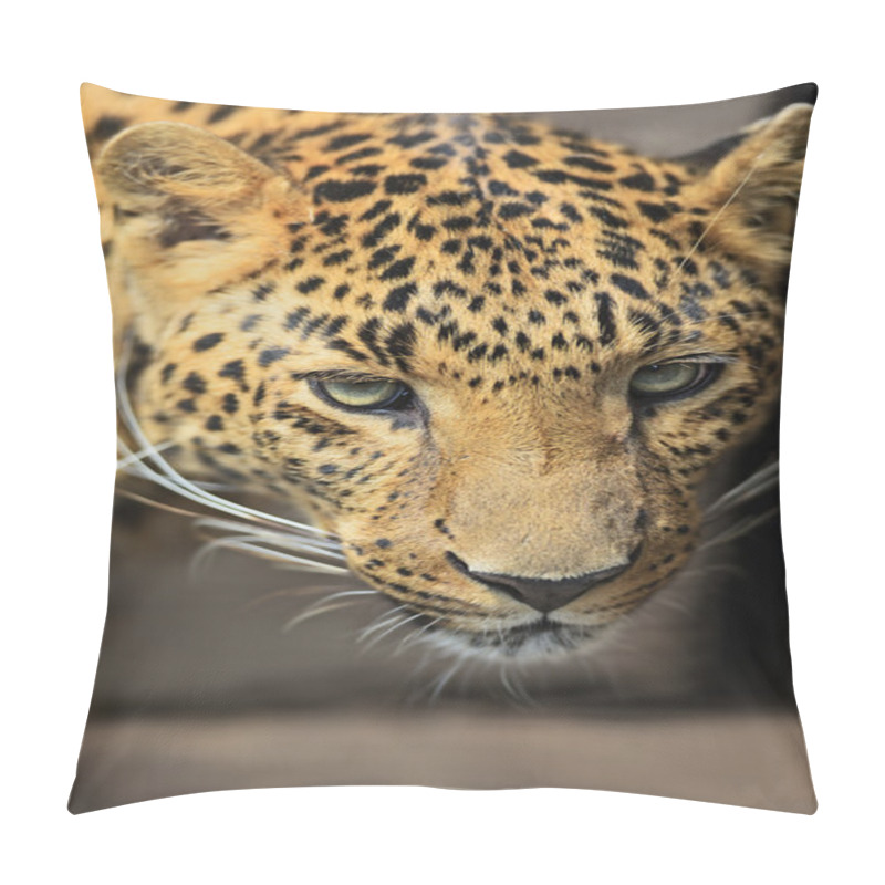 Personality  Leopard Pillow Covers