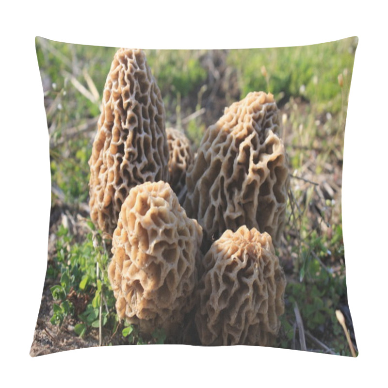 Personality  Morel Mushrooms Pillow Covers