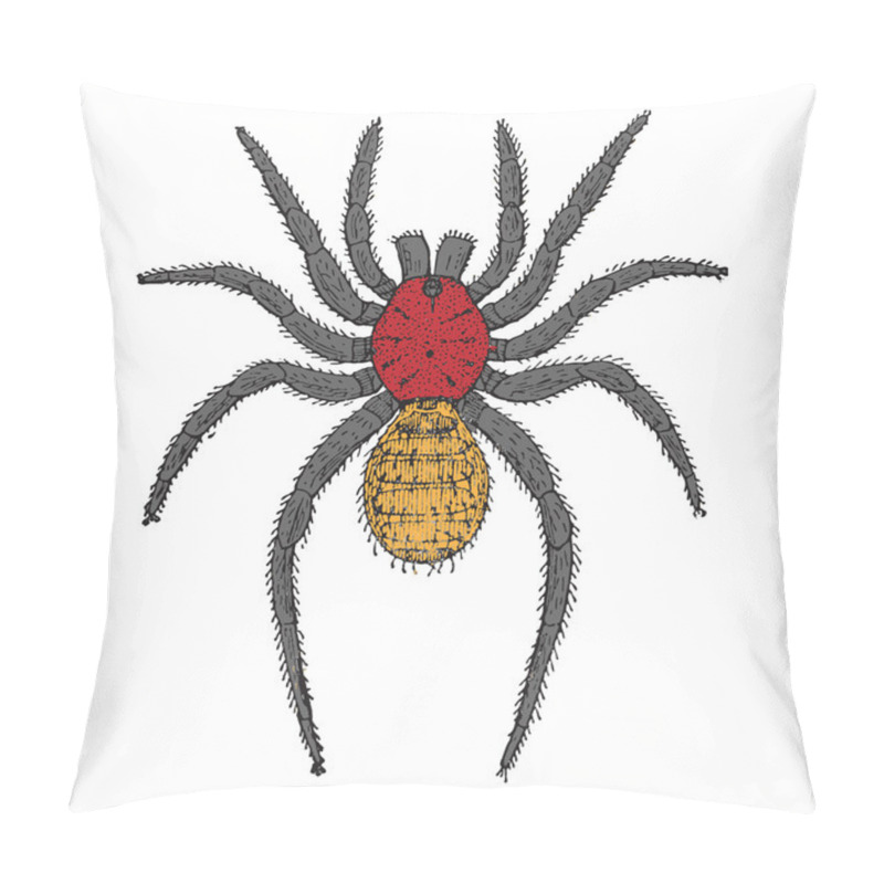 Personality  Spider Cartoon Pillow Covers