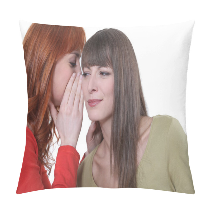 Personality  I Have A Secret Pillow Covers