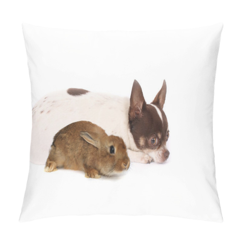 Personality  Chihuahua And Rabbit Pillow Covers