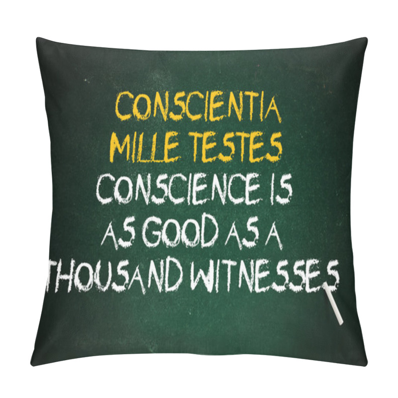 Personality  Conscience Is Witness Pillow Covers