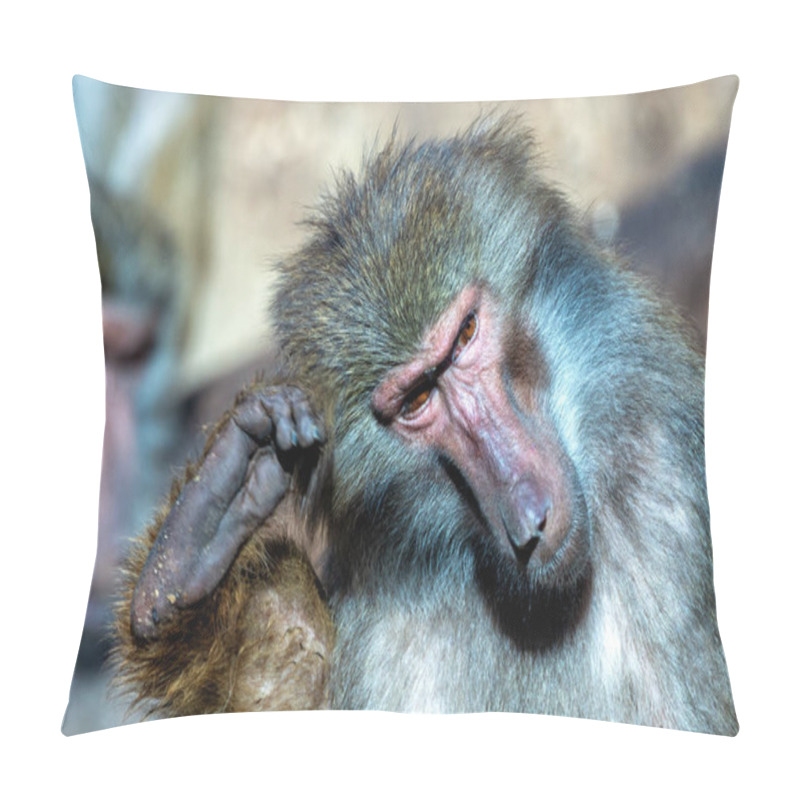 Personality  Baboons Eat Fruits, Seeds, And Insects. Pillow Covers