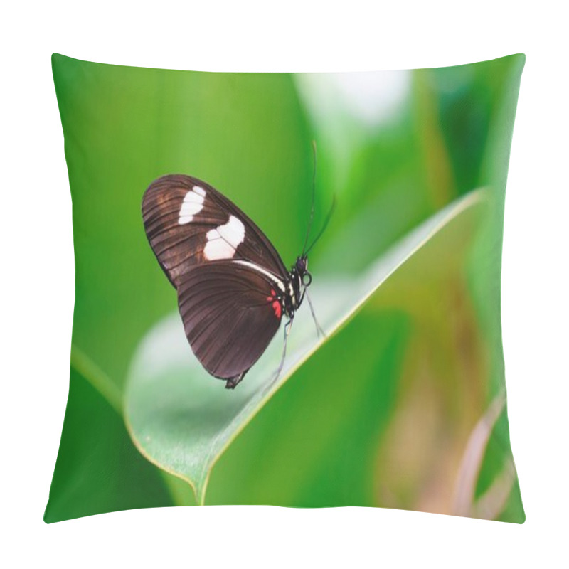 Personality  A Beautiful Black Butterfly With White Spots Gracefully Rests On A Lush Green Leaf. Its Vibrant Colors Stand Out Against The Natural Backdrop, Creating An Enchanting Scene In Nature. Pillow Covers