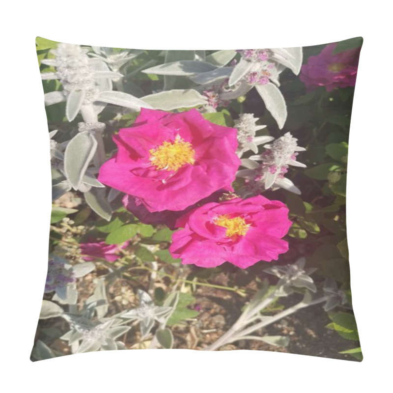 Personality  Vertical Image Of Beautiful Pink Roses With Yellow Stamens. High Quality Photo Pillow Covers