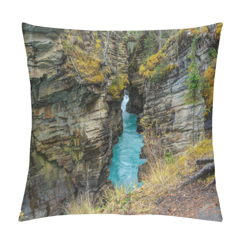 Personality  Nature Canada Pillow Covers