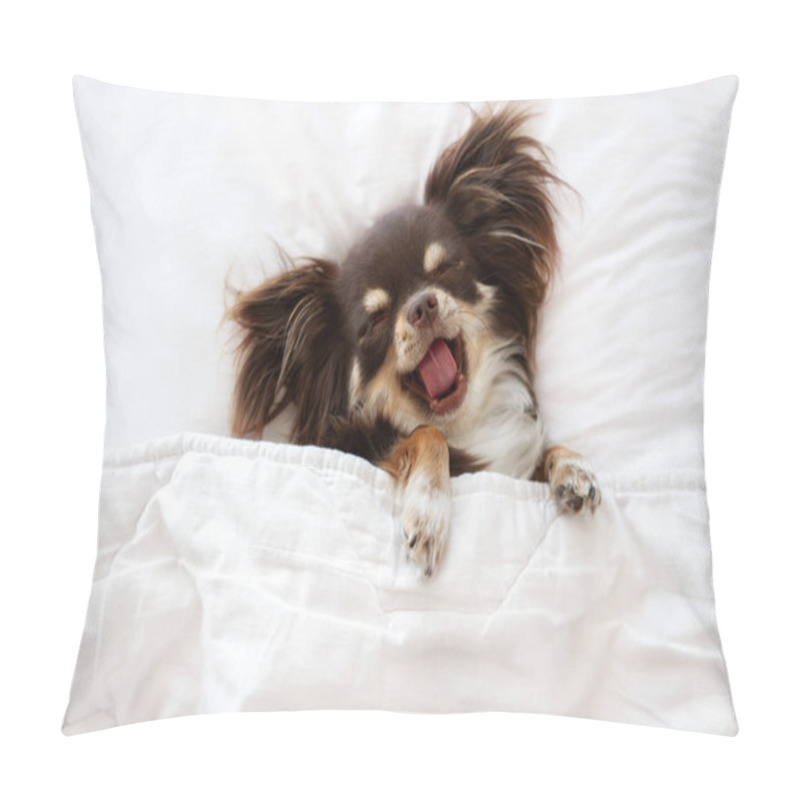 Personality  Cute Chihuahua Dog Yawning While Sleeping On A Bed Pillow Covers