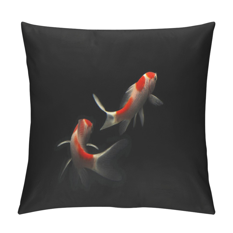 Personality  Butterfly Koi Fish Long Tail Isolated On Black . Pillow Covers