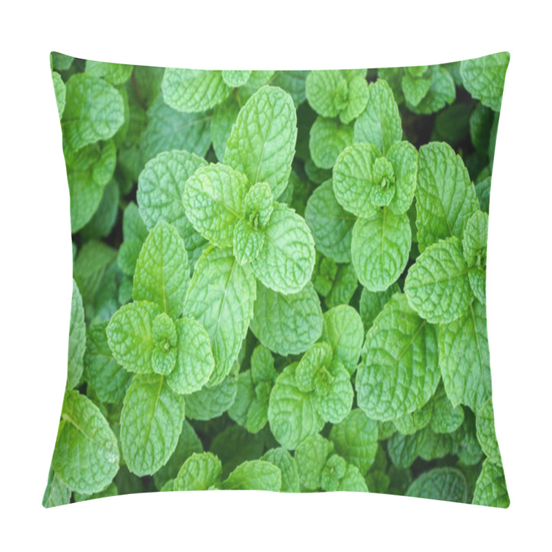 Personality  Green Mint Leaves Background Pillow Covers