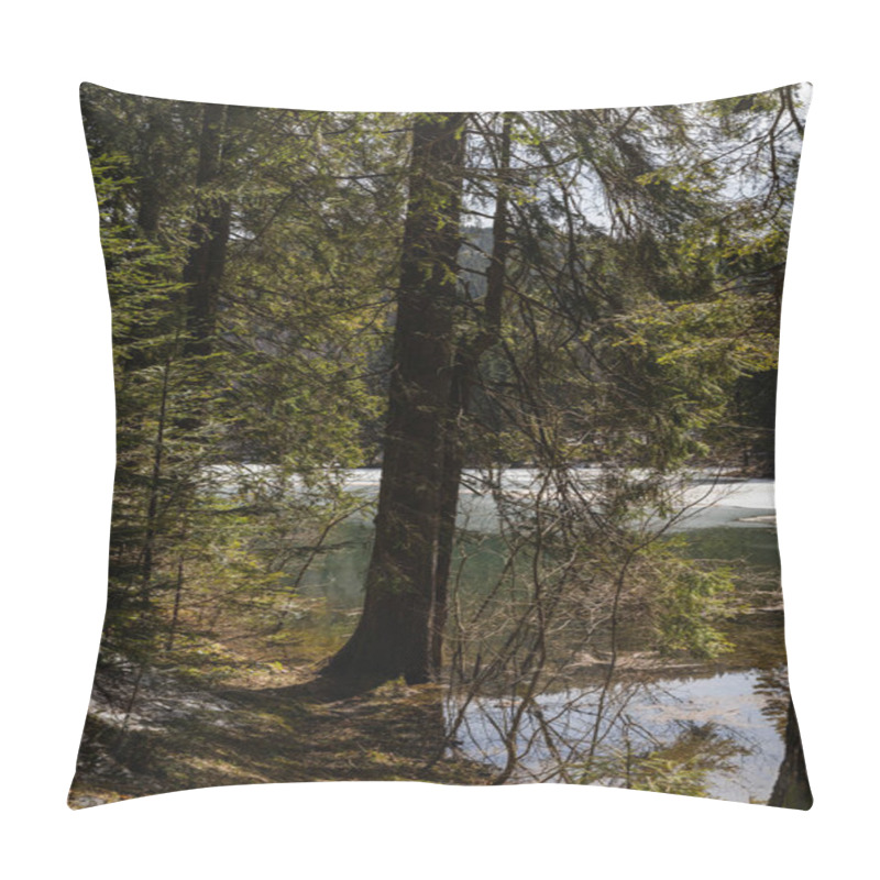 Personality  Spruce Trees On Hill Near Lake In Spring  Pillow Covers