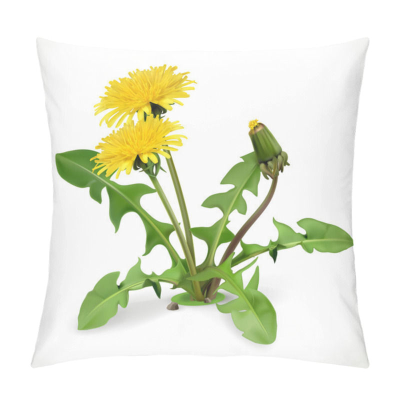 Personality  Dandelion Flowers On White Pillow Covers