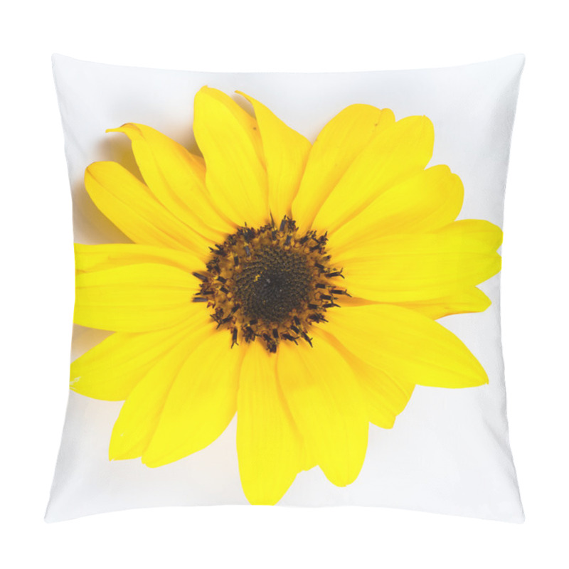 Personality  Sunflower Isolated Pillow Covers