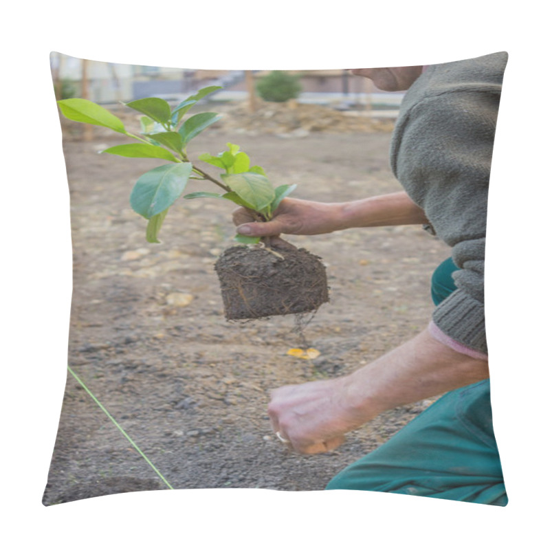 Personality  Hand Carefully Plant Pillow Covers