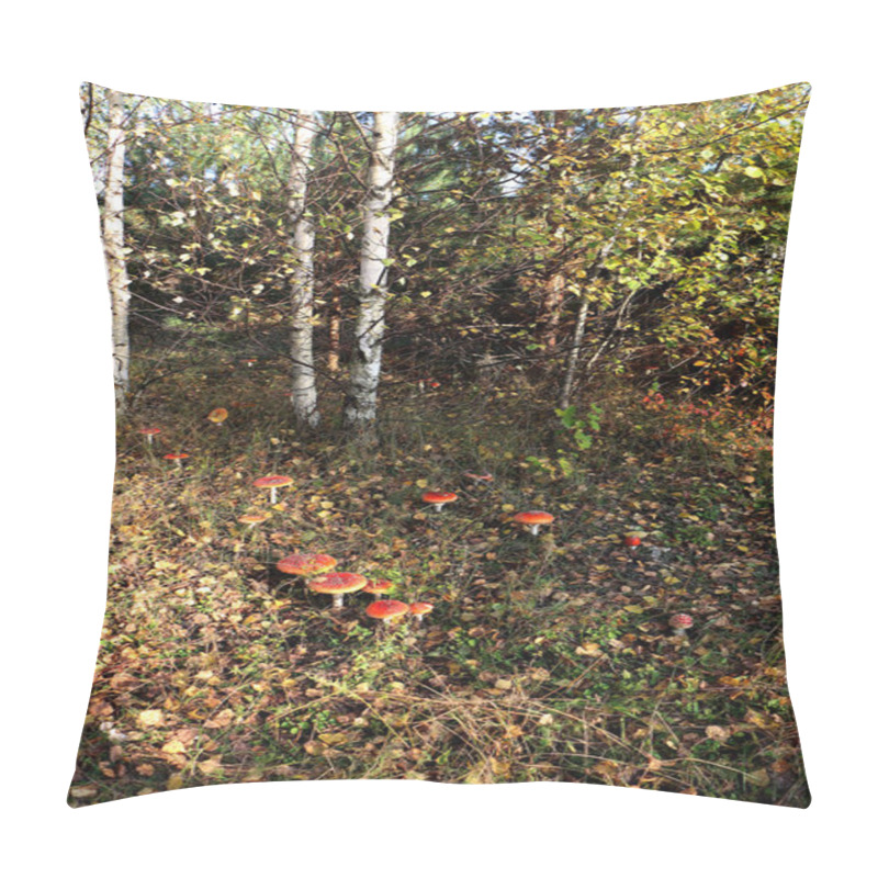 Personality  Poisonous Inedible Mushroom Red Amanita Pillow Covers