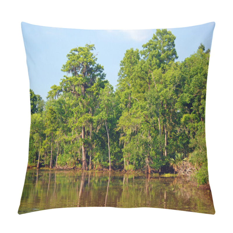 Personality  Cypress Swamp In The Bayou Pillow Covers