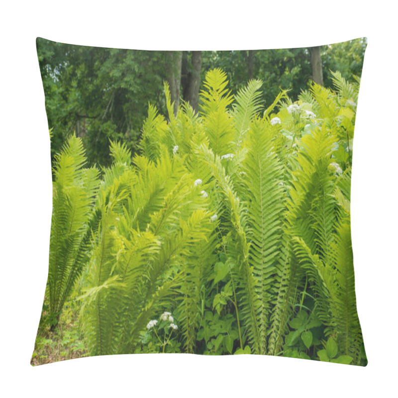 Personality  Fern Leaf With Water Drops And Flowers Pillow Covers