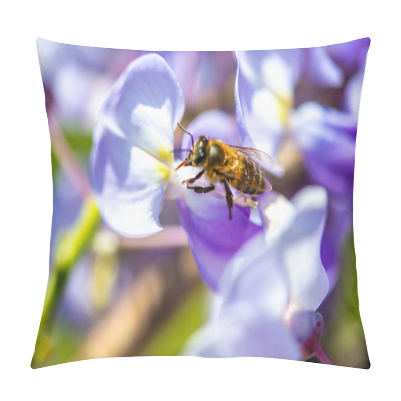 Personality  A Detailed Macro Photo Capturing A Bee Taking Nectar From A Vibrant Wisteria Sinensis (Chinese Wisteria) Flower, Showcasing Intricate Natural Beauty. Pillow Covers