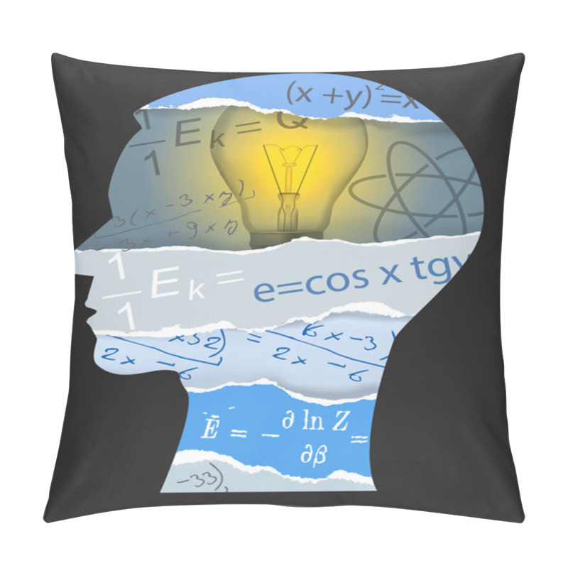 Personality  Mathematics Physics Student Silhouette Pillow Covers