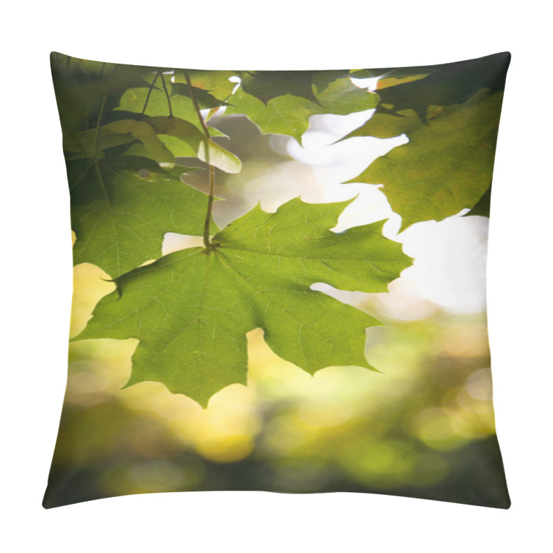 Personality  Maple Leaf Pillow Covers