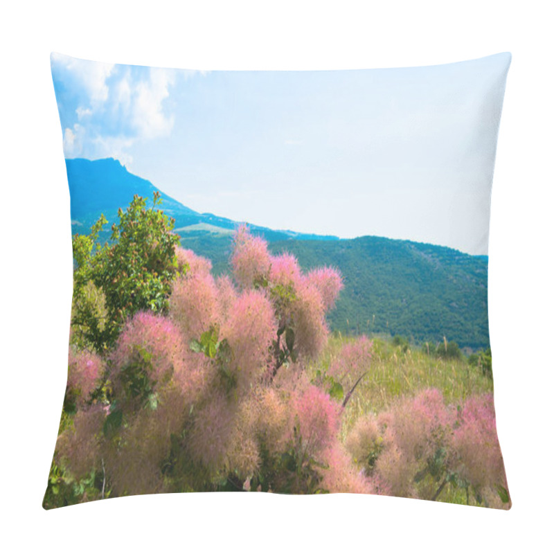 Personality  A Tender Fluffy Pink Bush Blooming Under Bright Sun In The Mountains  Pillow Covers