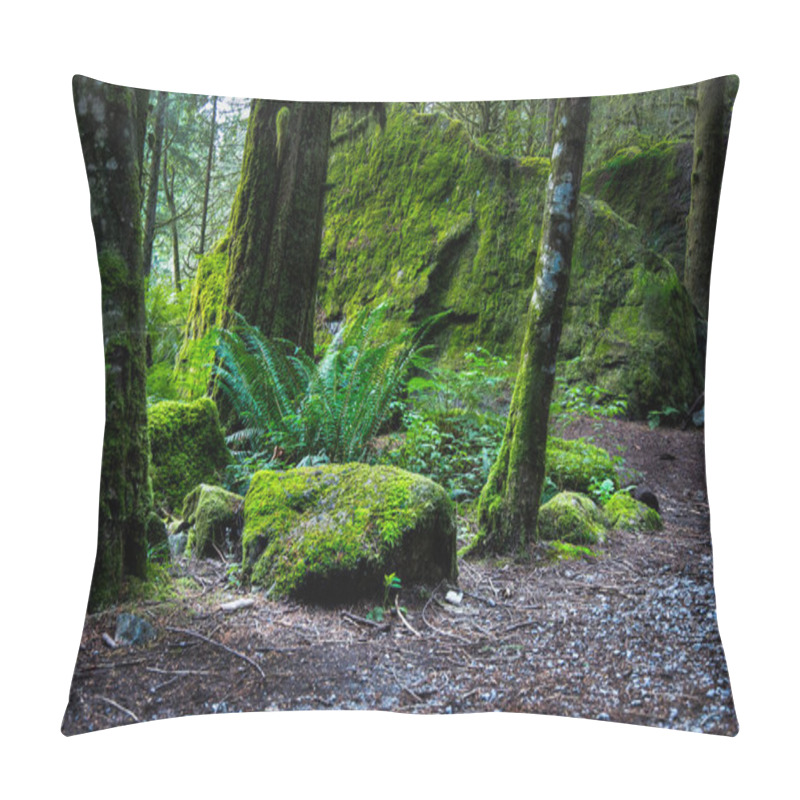 Personality  Moss Covered Rocks In Old Growth Forest Pillow Covers