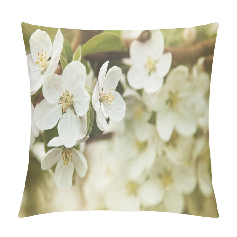 Personality  Apple Blossoms In Spring Pillow Covers