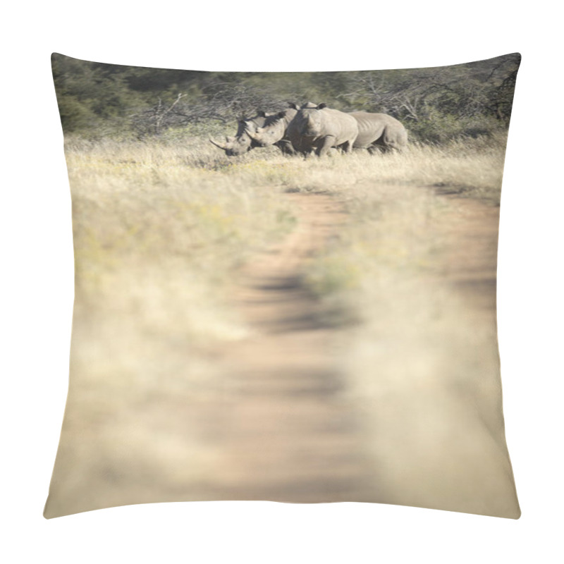 Personality  Black Rhinoceroses On Meadow During Sunny Day Pillow Covers