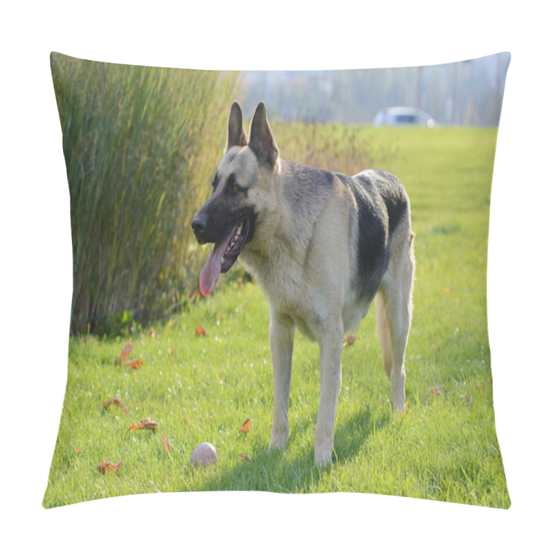 Personality  German Shepherd Dog, Eastern European Shepherd Dog  Pillow Covers