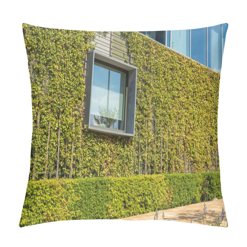 Personality  Window And The Wall Of Modern Sustainable Office Building, Climber Plants Growing On The Wall, Urban Greening Example Pillow Covers