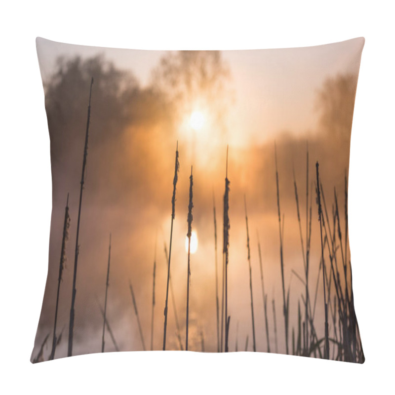 Personality  Sunrise Light Piercing Through Mist And Trees And Reflecting In Lake Behind Cat S Tails Pillow Covers