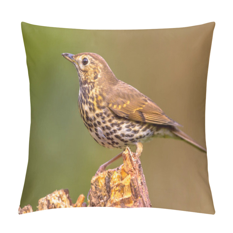 Personality  Song Thrush (Turdus Philomelos) Perched On Log With Green Garden Background Pillow Covers