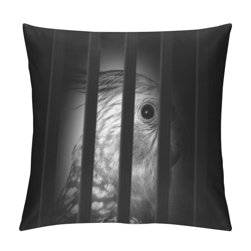 Personality  Photo Of A Bird In The Cage Suffering, Illegal Contraband Of Animals. Pillow Covers