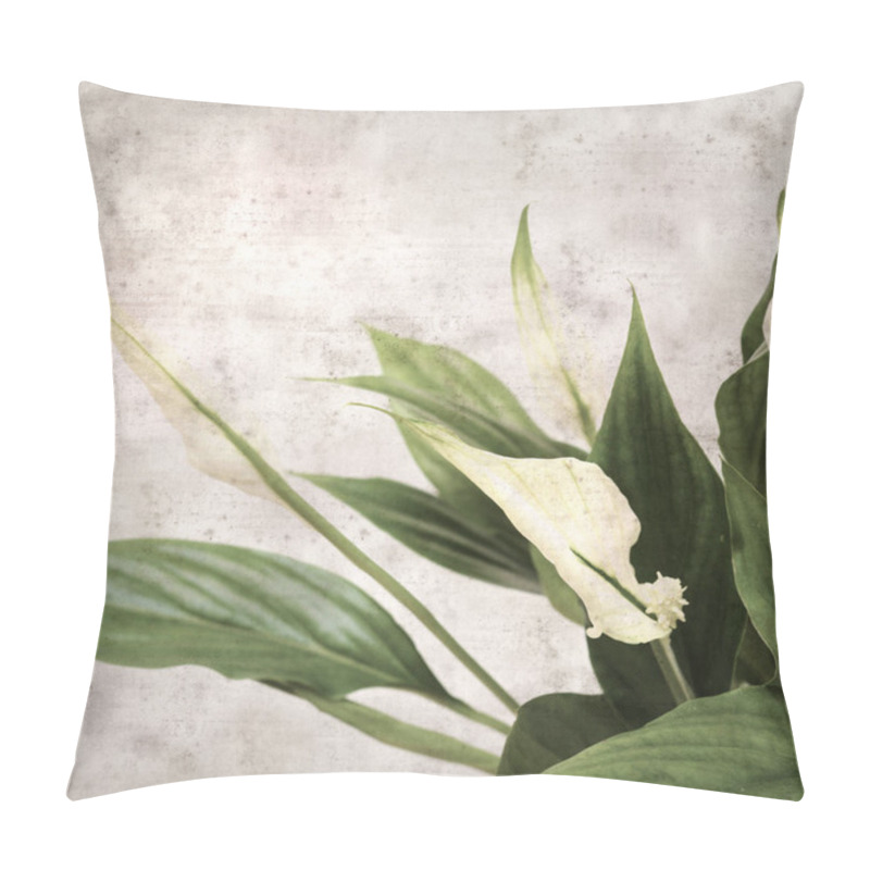 Personality  Textured Stylish Old Paper Background, Square, With Spathiphyllum, Peace Lily Pillow Covers