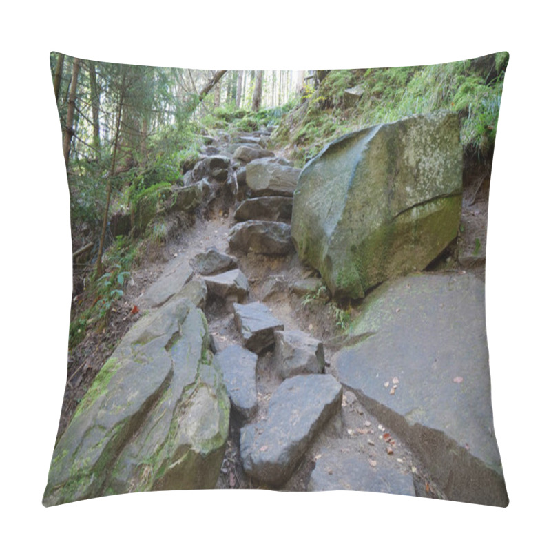 Personality  Beautiful Wildlife, Thick Of The Forest, Green Moss Covered Ground, Stone Steps Leading Up The Mountain, Beautiful Sun At Background Pillow Covers