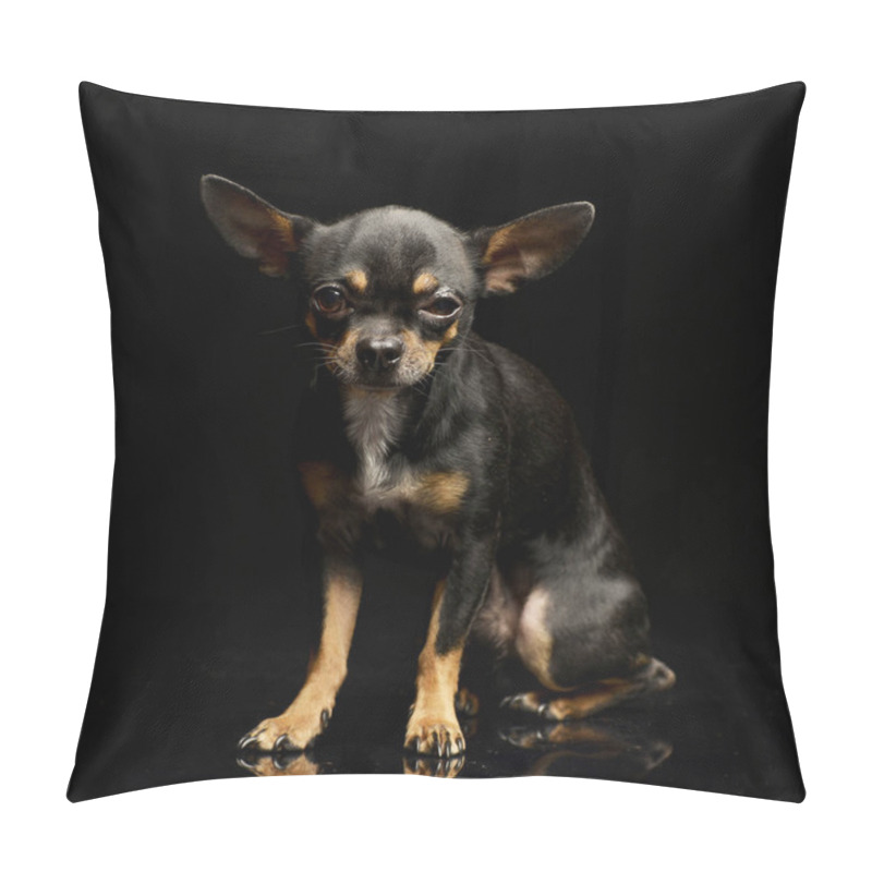 Personality  Studio Shot Of An Adorable Short Haired Chihuahua Sitting On Black Background. Pillow Covers