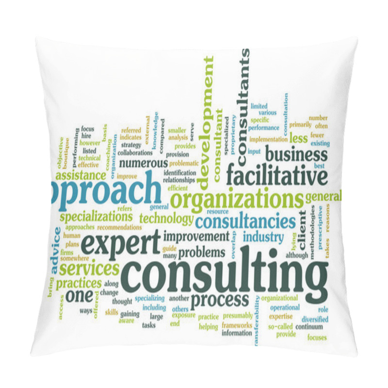 Personality  Management Consulting Pillow Covers