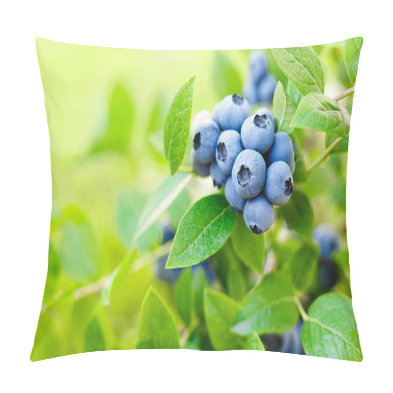 Personality  Blueberry. Fresh Berries With Leaves On Branch In A Garden. Pillow Covers