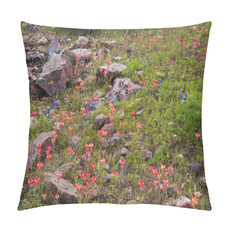 Personality  Spring Wildflowers In Texas Hill Country Pillow Covers