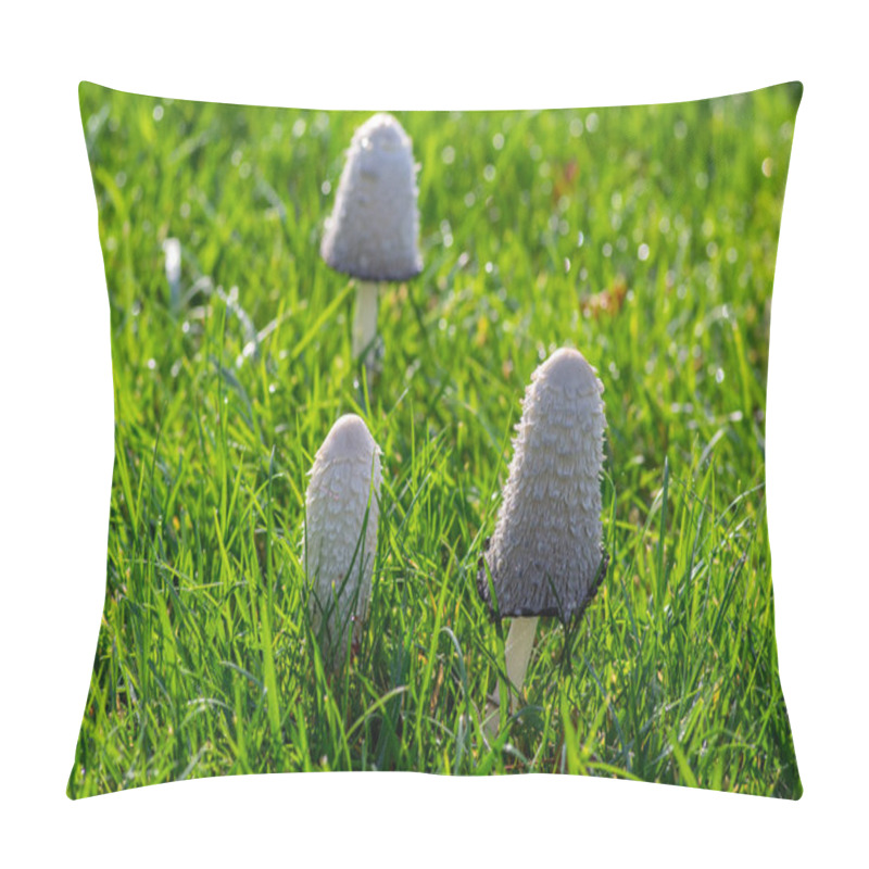 Personality  Coprinus Comatus Shaggy Ink Cap White Gray Mushroom Growing In The Lawn In The Park, Autumnal Season, Early Morning On The Meadow Pillow Covers