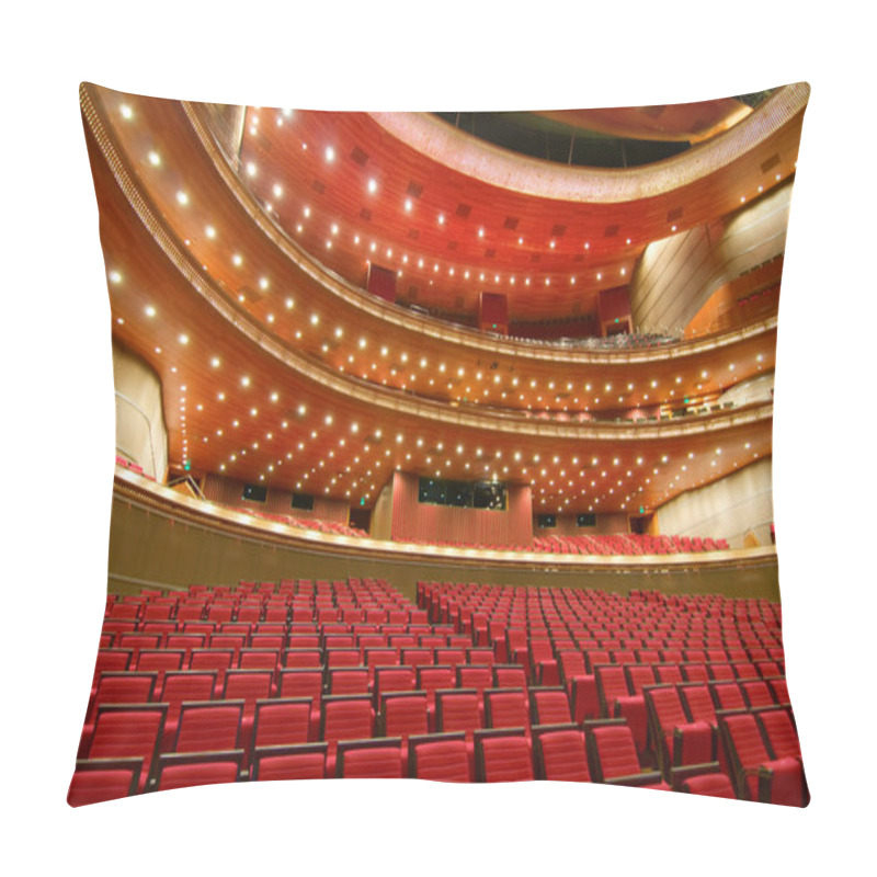 Personality  China National Grand Theater Pillow Covers