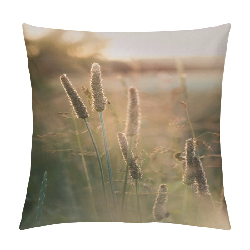 Personality  Golden Grass Swaying Gently In The Warm Evening Light. Pillow Covers