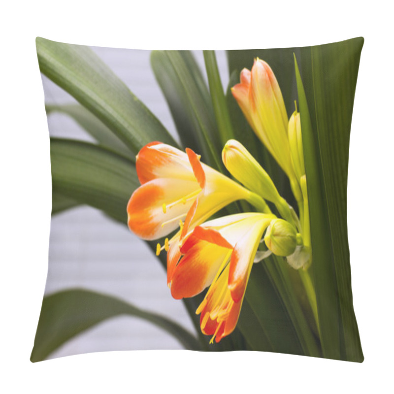 Personality  Blossoming Room Orchid With Leaves Pillow Covers