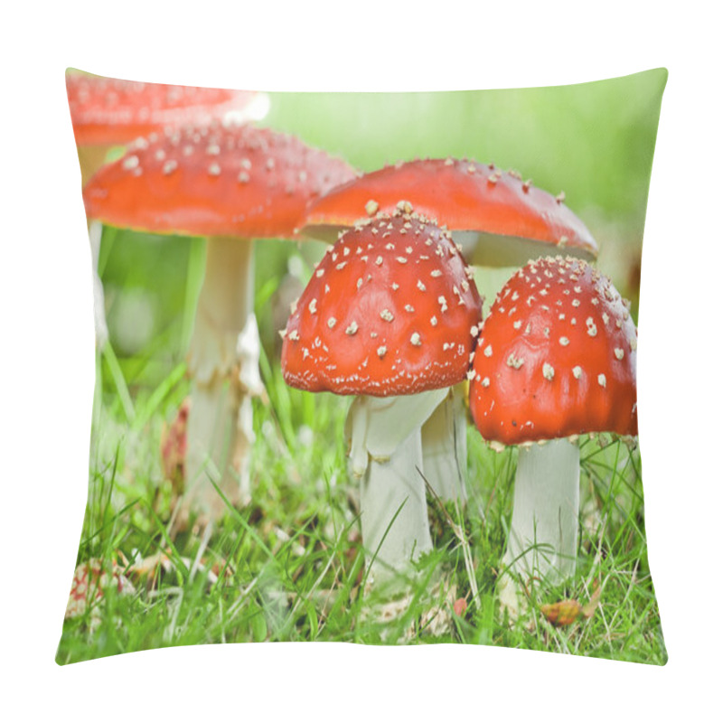 Personality  Fly Agaric Pillow Covers