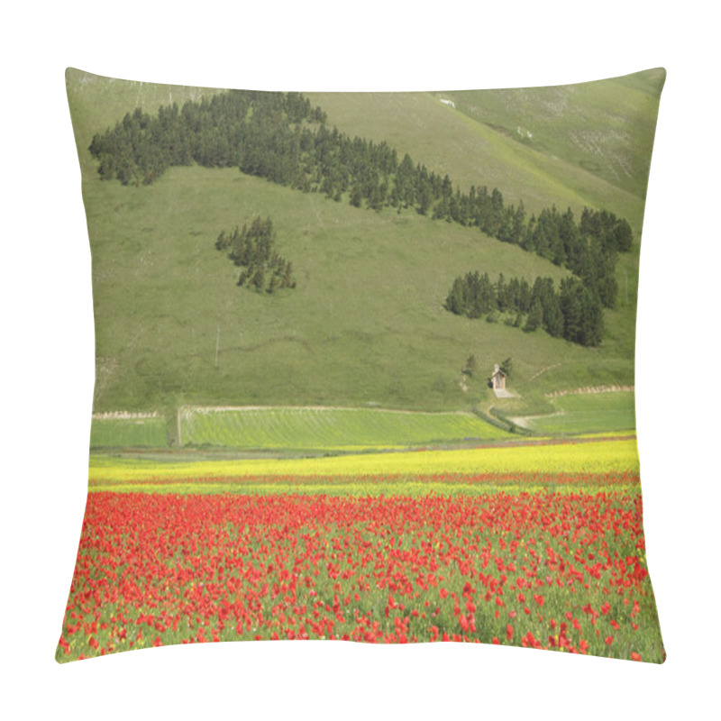 Personality  Forest In Shape Of Italy And Field Of Poppies Pillow Covers