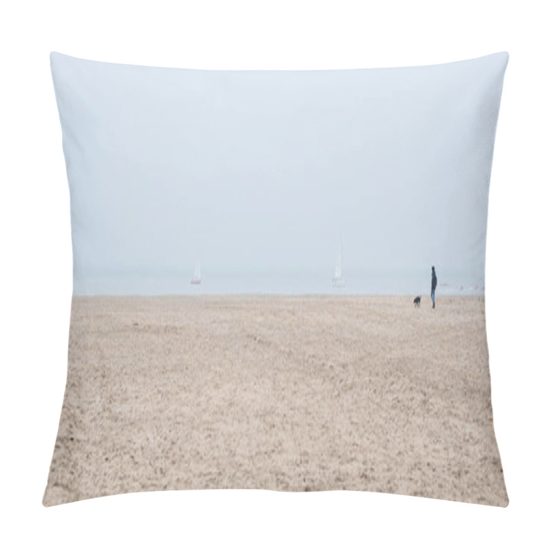 Personality  Man And Dog, Walking Along The Empty Shores Of The Ocean Or Sea. Seascape Panorama Scenic Pillow Covers