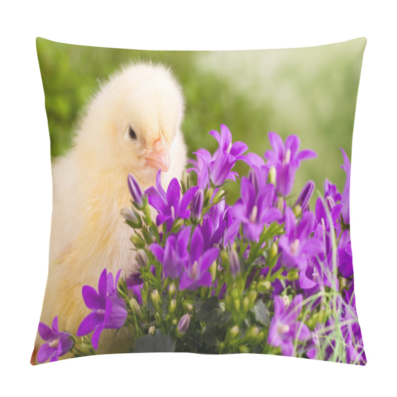 Personality  Beautiful Little Chickens Pillow Covers