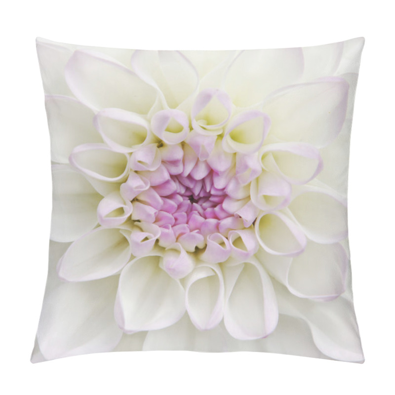 Personality  White Dahlia Flower Close Up Pillow Covers