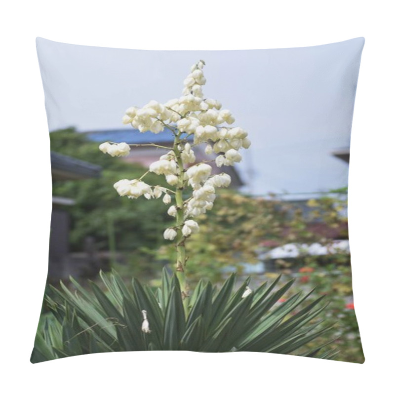 Personality  Yucca (Spanish Dagger) Flowers. Asparagaceae Evergreen Shrub. Pillow Covers