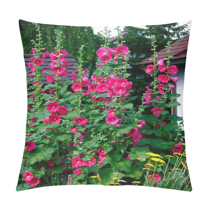 Personality  Hollyhock, Common Hollyhock (Alcea Rosea) Flowers Pillow Covers